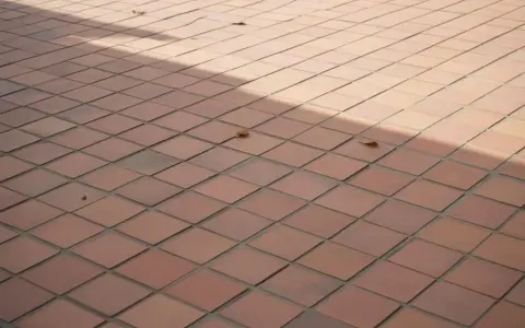 Jaką fugę na zewnątrz wybrać, aby uniknąć problemów z wilgocią?