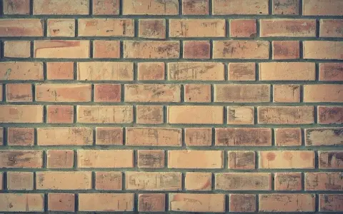 Cegły wystające co druga w murze – jak uniknąć błędów w budowie